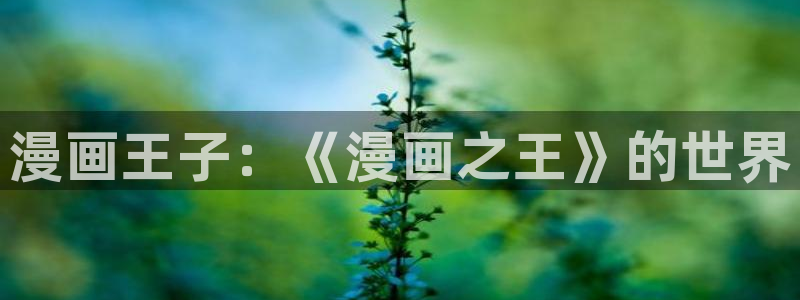 51漫画禁漫成人入口